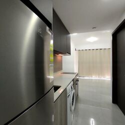 Riverfront Residences (D19), Apartment #477120321